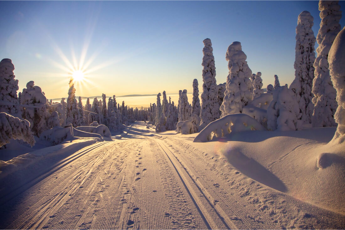 Beautiful Snowy Lapland 