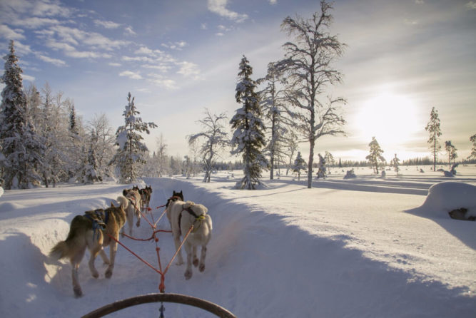 12 Reasons to Visit Finnish Lapland in Winter | TravelGeekery