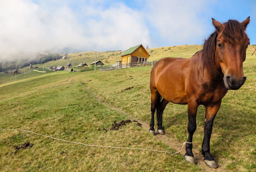 Hiking in Montenegro: Mountain Adventures - Travel Geekery