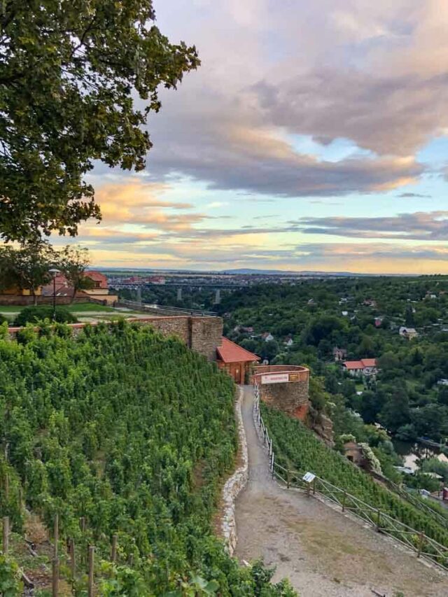 travel free shop znojmo