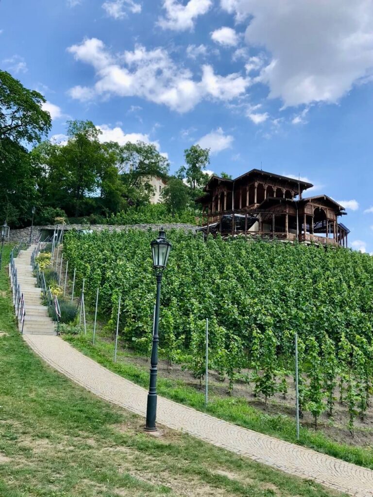 A picturesque view of the wooden Grébovka Altán perched above a lush green vineyard in Havlíčkovy Sady. A winding cobblestone path and black lamppost lead toward the hilltop pavilion, set against a bright blue spring sky.