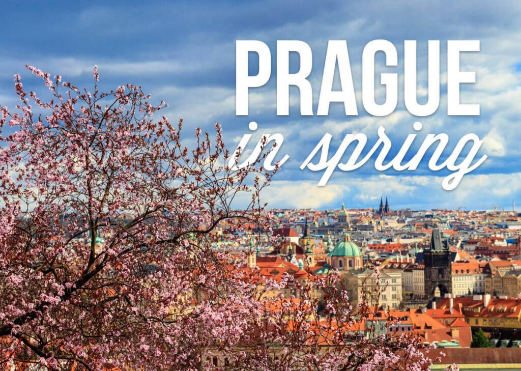 A stunning springtime scene of Prague with delicate pink cherry blossoms in the foreground and the city’s iconic architecture in the background. The text "PRAGUE in spring" highlights the seasonal charm.