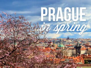 A stunning springtime scene of Prague with delicate pink cherry blossoms in the foreground and the city’s iconic architecture in the background. The text 