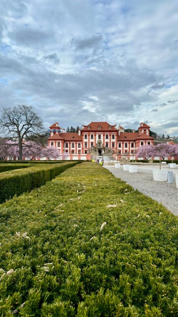 The elegant red-and-white Baroque-style Troja Château stands at the end of a manicured green hedge pathway. Cherry blossom trees bloom in the background, adding to the beauty of this historic landmark in Prague.