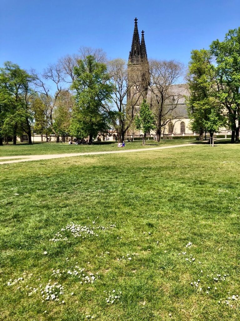 A serene view of Vyšehrad park with fresh green grass, scattered wildflowers, and people relaxing under the spring sun. The gothic spires of the Basilica of St. Peter and St. Paul rise in the background, framed by lush trees.